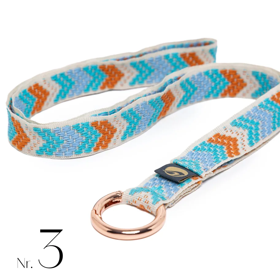 Lanyard